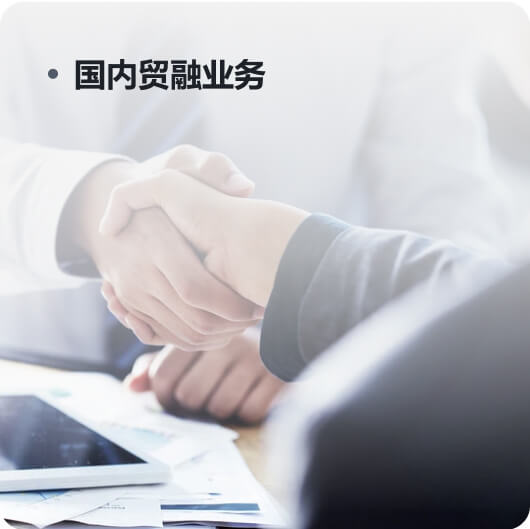 國內(nèi)貿(mào)融業(yè)務(wù)